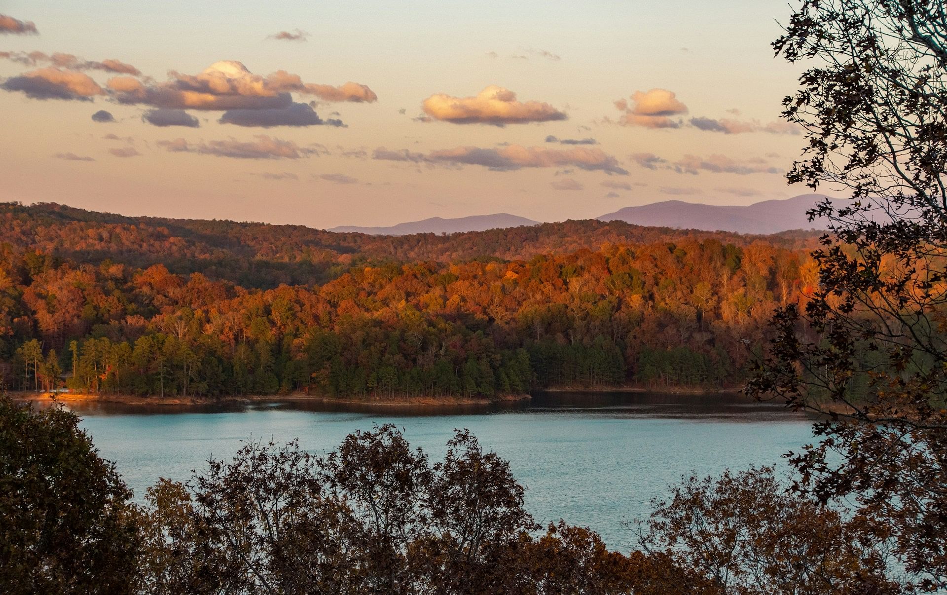 Best Places to Reside in Georgia for Students & Professionals